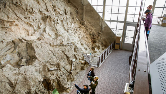  &copy; Mark Osler/Utah Tourism