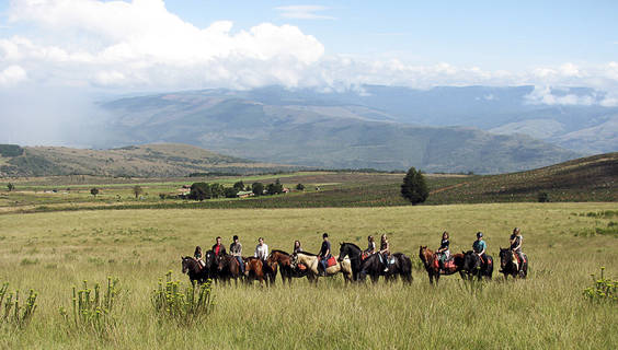  © Kaapsehoop Horse Safaris